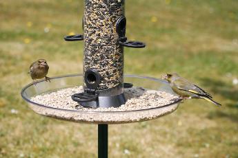 Cj Feeder Tray Large